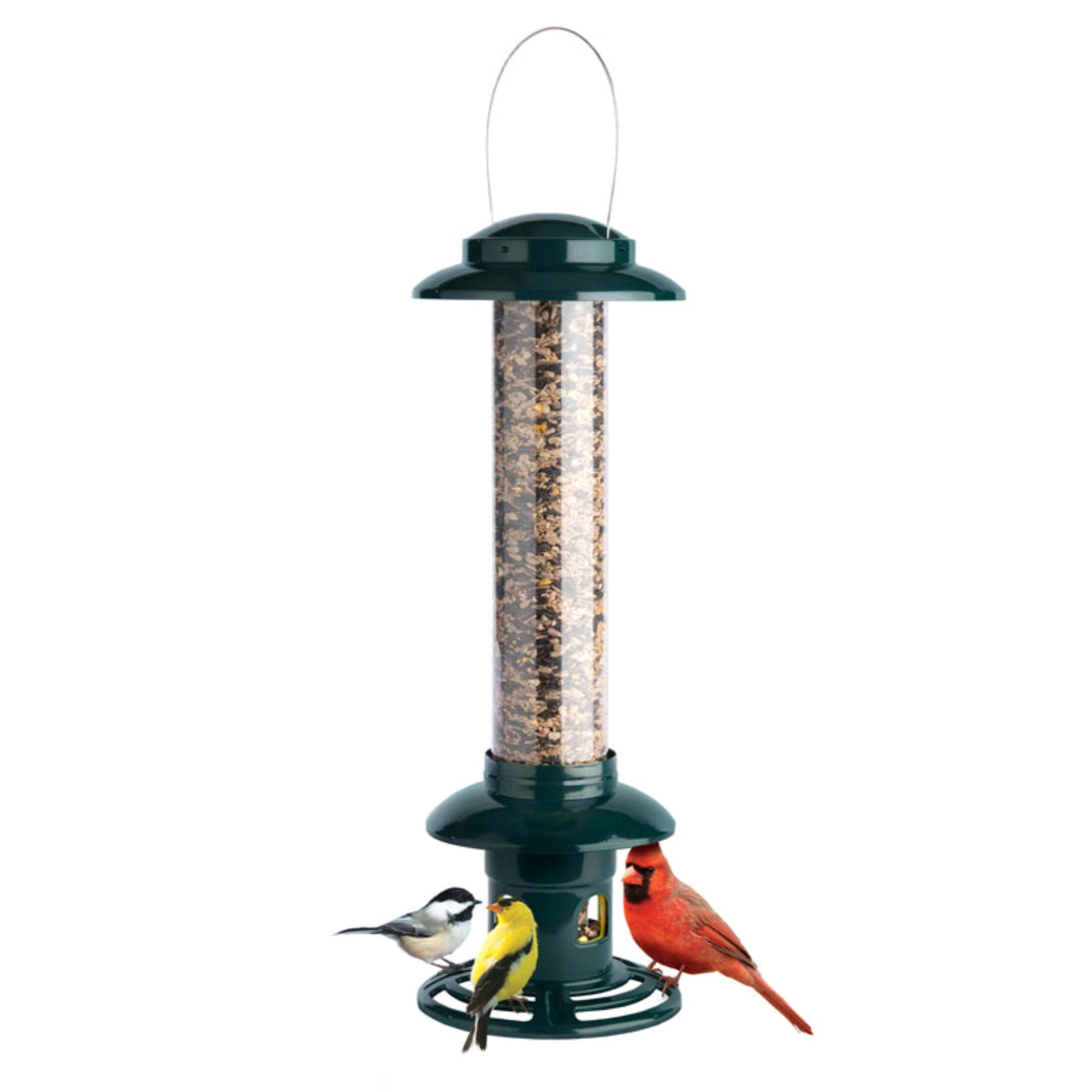 Brome Squirrel Buster Evolution Bird Feeder with Double Cardinal Ring for Backyard Bird Feeding, 1.9lb Seed Capacity